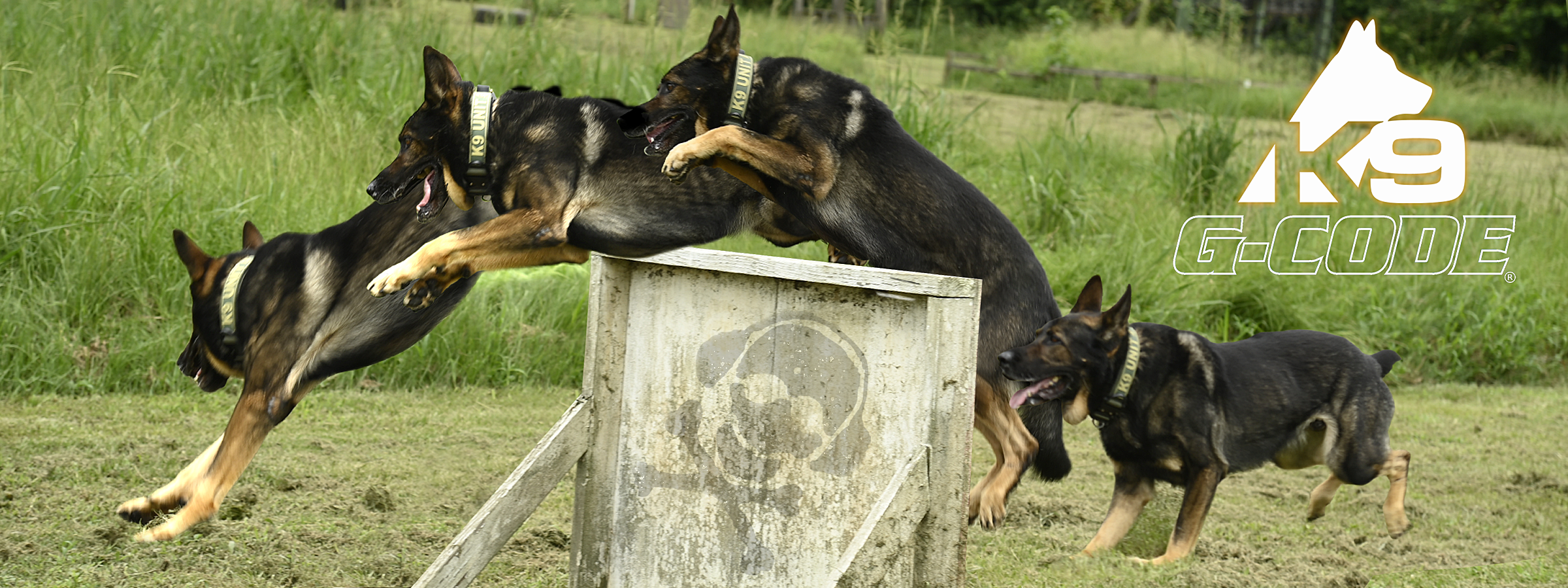 K9